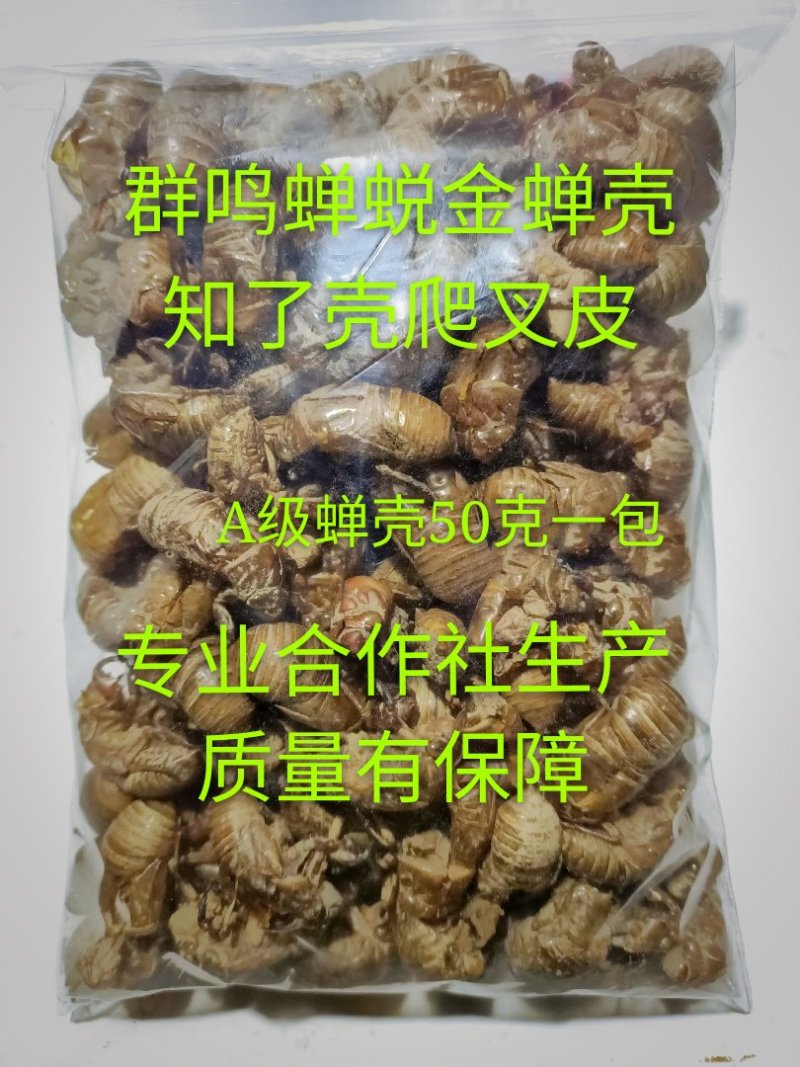 蝉蜕虫螁金蝉壳金蝉皮蝉壳蝉皮蝉衣知了壳知了皮爬叉壳爬叉皮