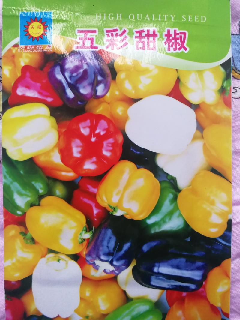 【精选】五彩甜椒种子果型美观口感很好产量高