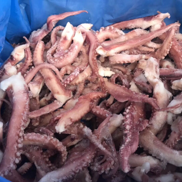 章鱼足