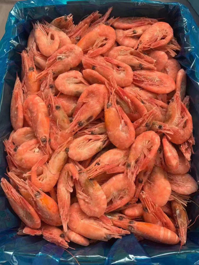 北极甜虾