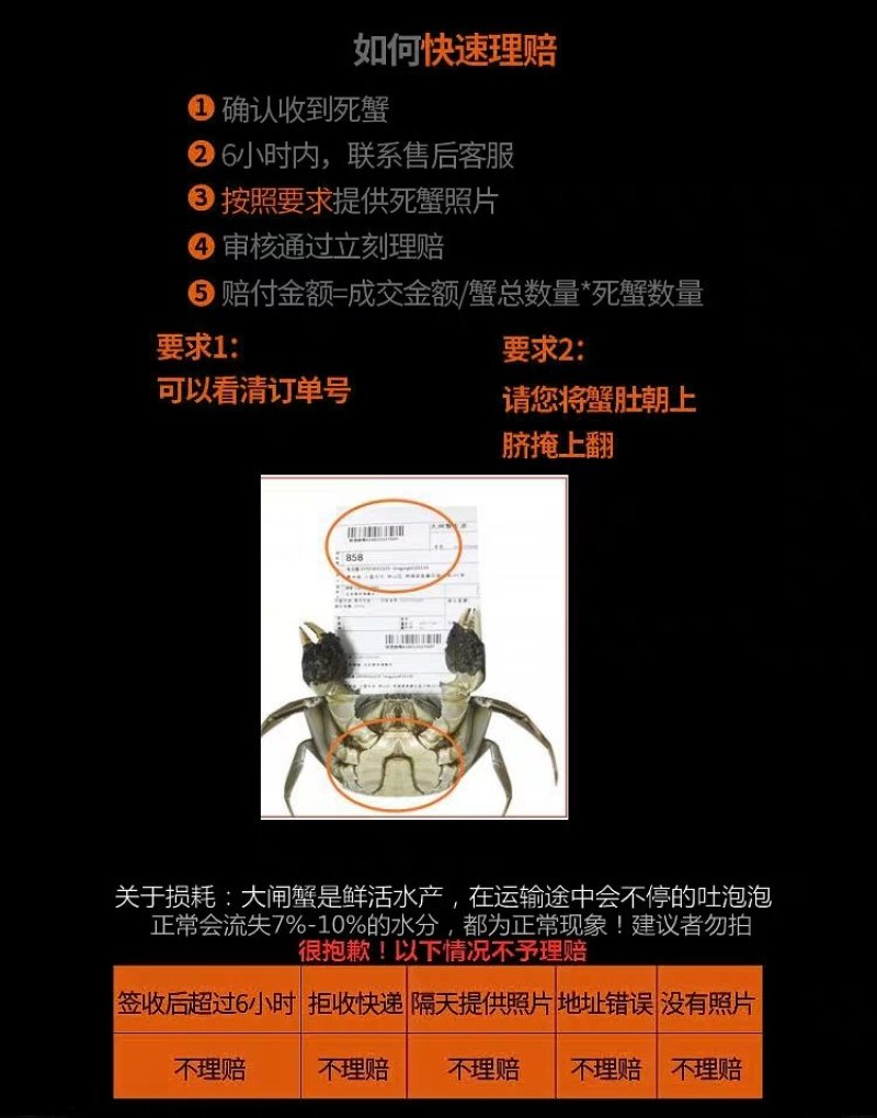 【109元=16只全母】包邮现货江苏大闸蟹鲜活礼盒可代发