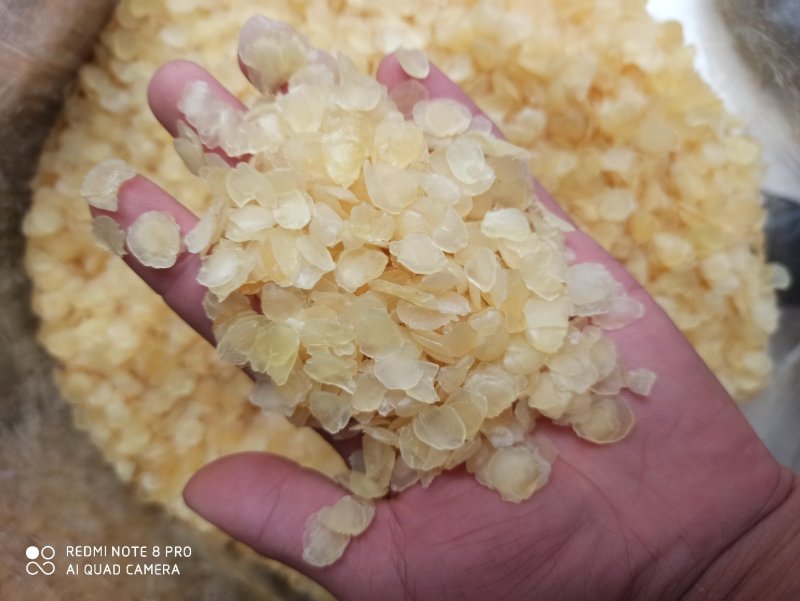 雪莲子皂角米专营中药各种规格品质保证