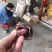 野生红菇小菇，2.5-3.5