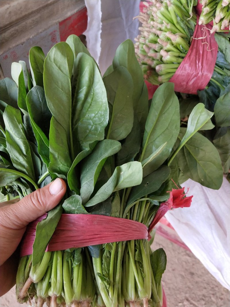 菠菜