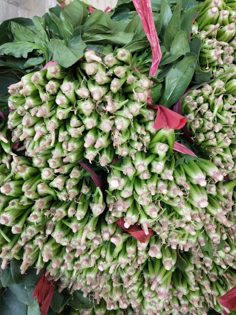 菠菜
