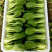 优质油菜小青菜长期供应日供2万斤
