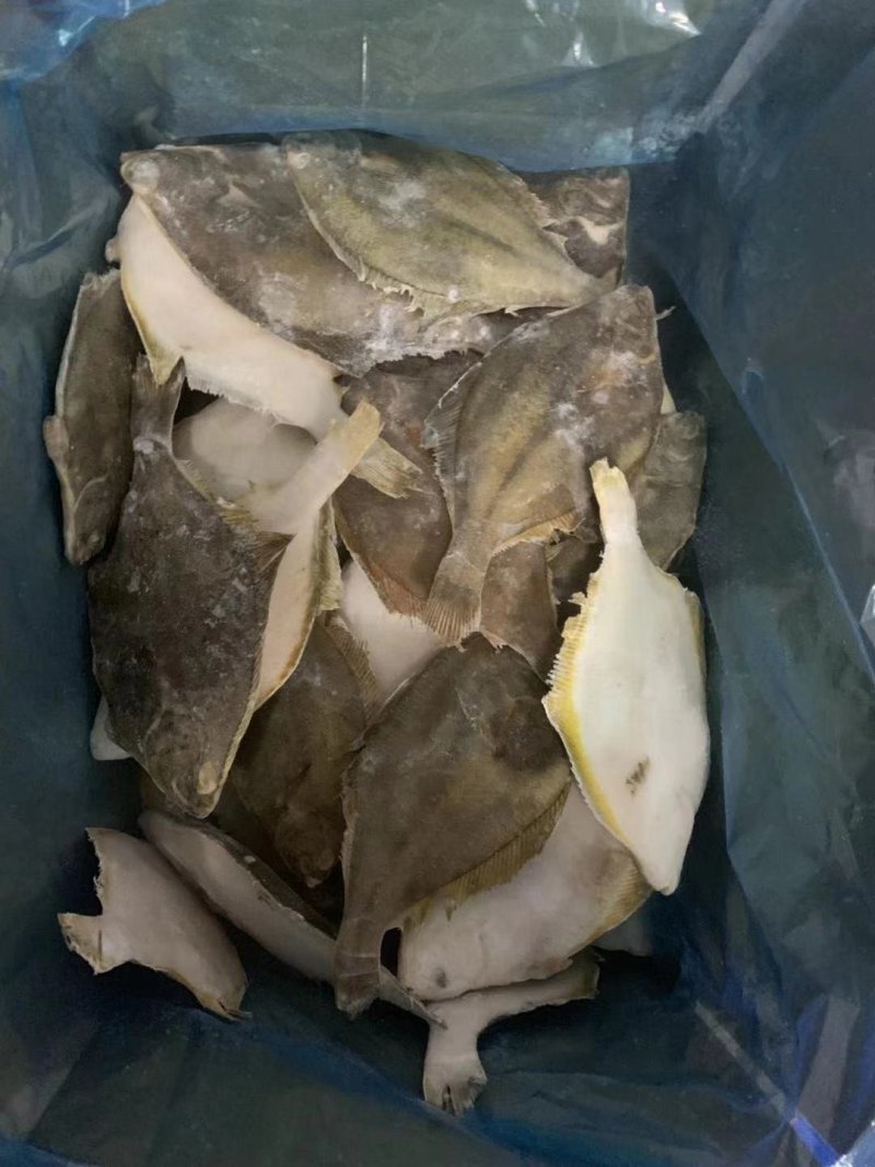 冷冻鲽鱼，黄金鲽鱼，比目鱼
