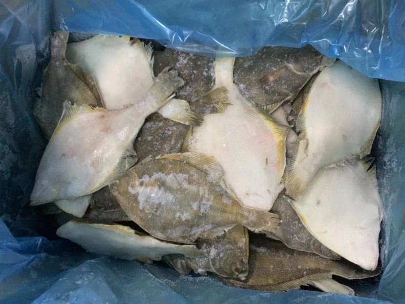 冷冻鲽鱼，黄金鲽鱼，比目鱼