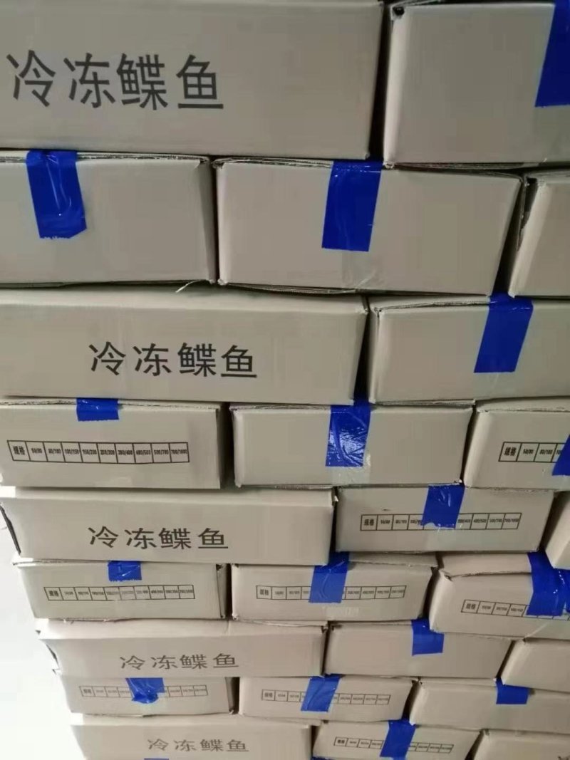 冷冻鲽鱼，黄金鲽鱼，比目鱼