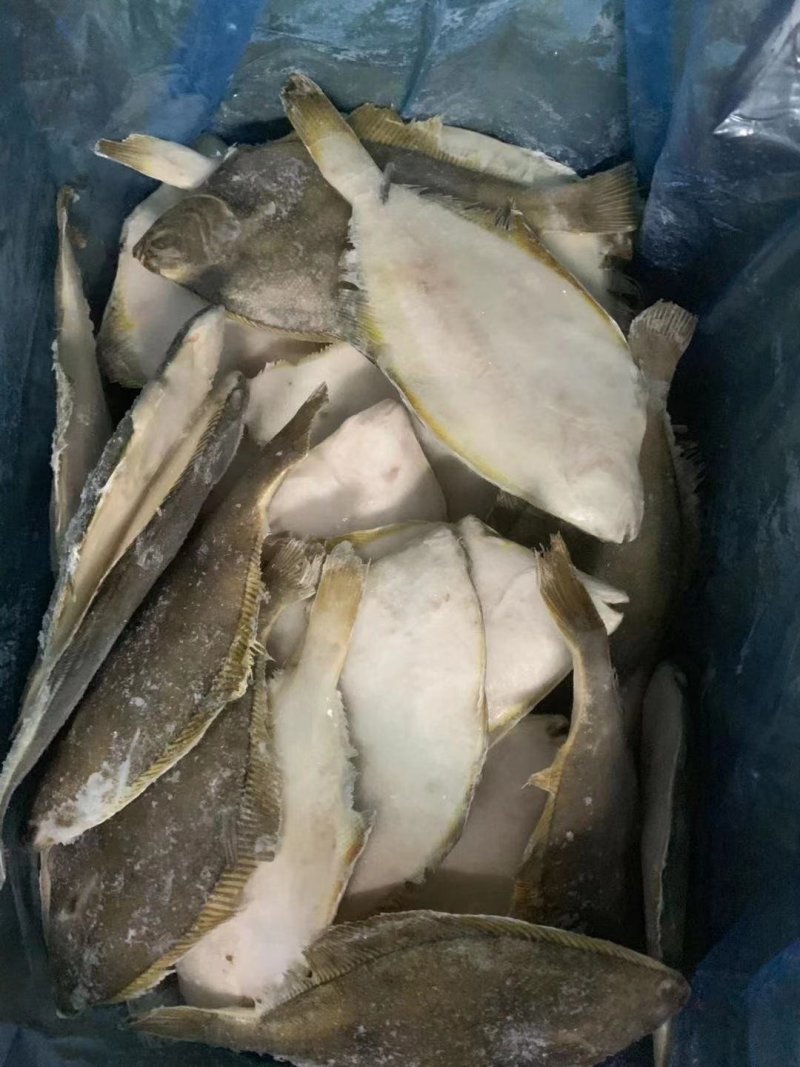 冷冻鲽鱼，黄金鲽鱼，比目鱼