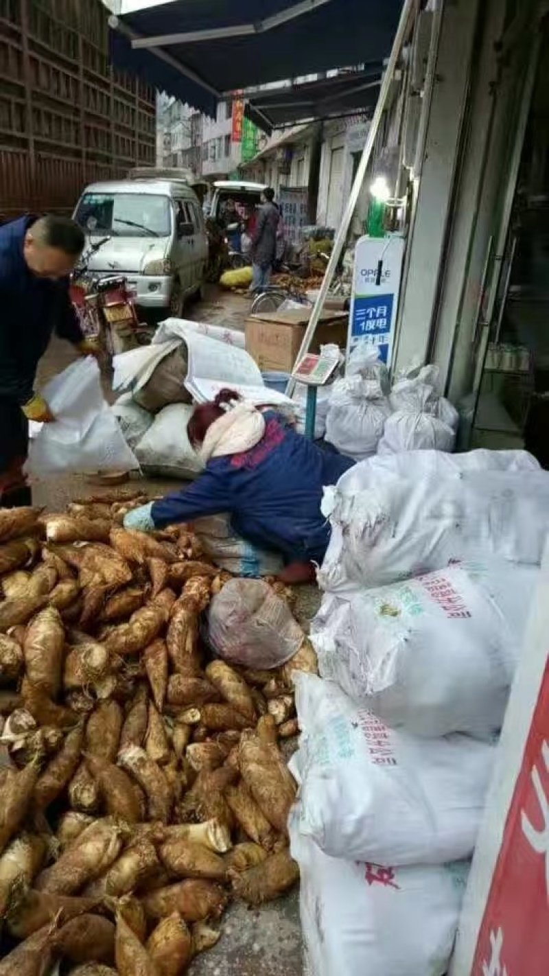 批发零售，大竹笋南竹笋冬笋云南笋