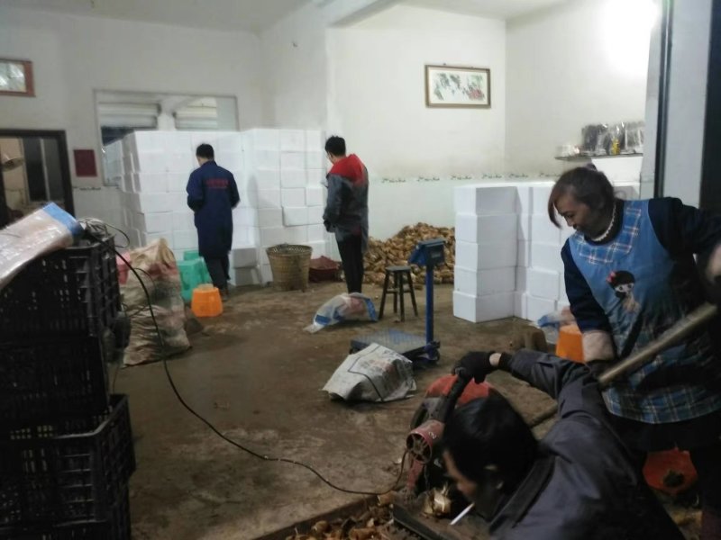 批发零售，大竹笋南竹笋冬笋云南笋