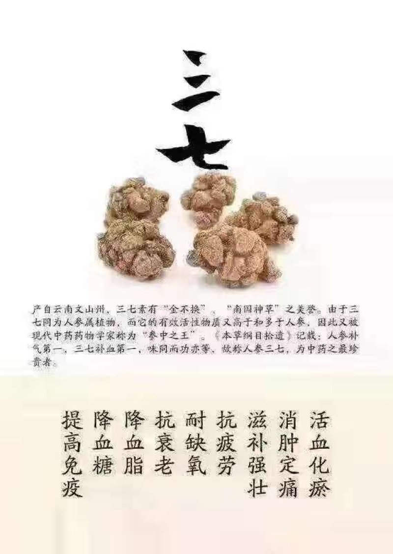 三七