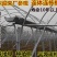 大棚骨架625型号828型号热度锌大棚骨架可定做