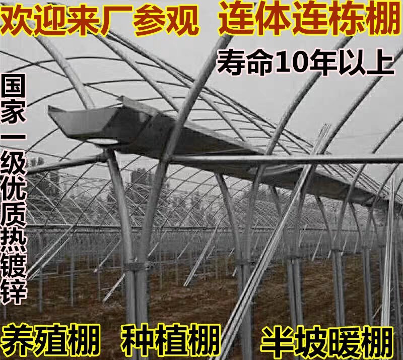 大棚骨架625型号828型号热度锌大棚骨架可定做