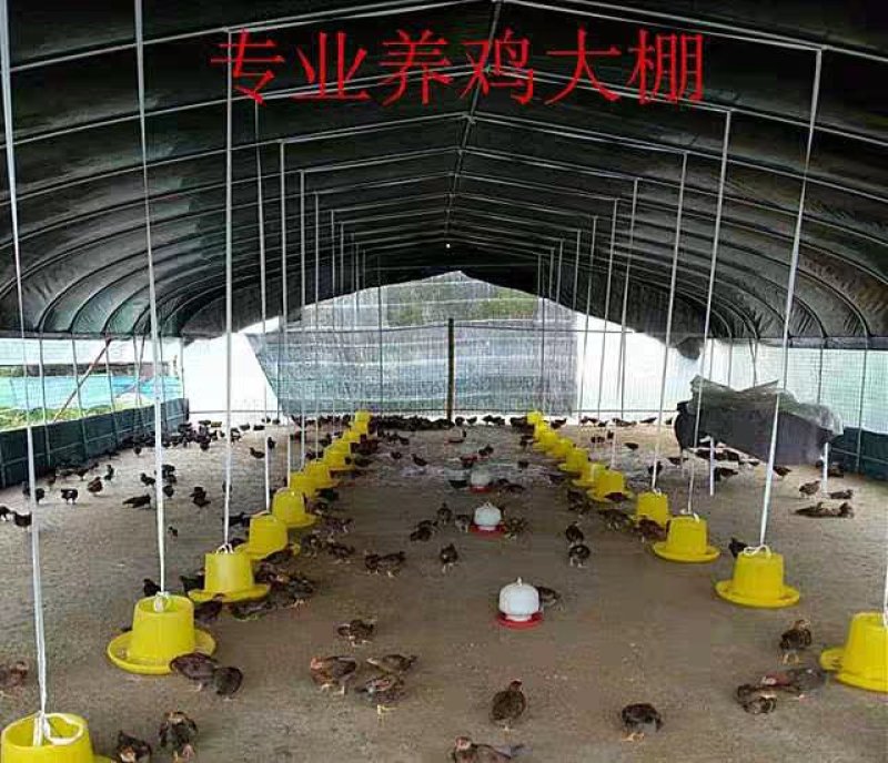 大棚骨架625型号828型号热度锌大棚骨架可定做