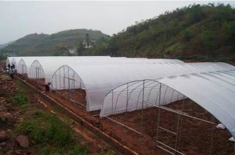 大棚骨架625型号828型号热度锌大棚骨架可定做