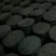 批发各种等级发菜（巨鲸水产出品）
