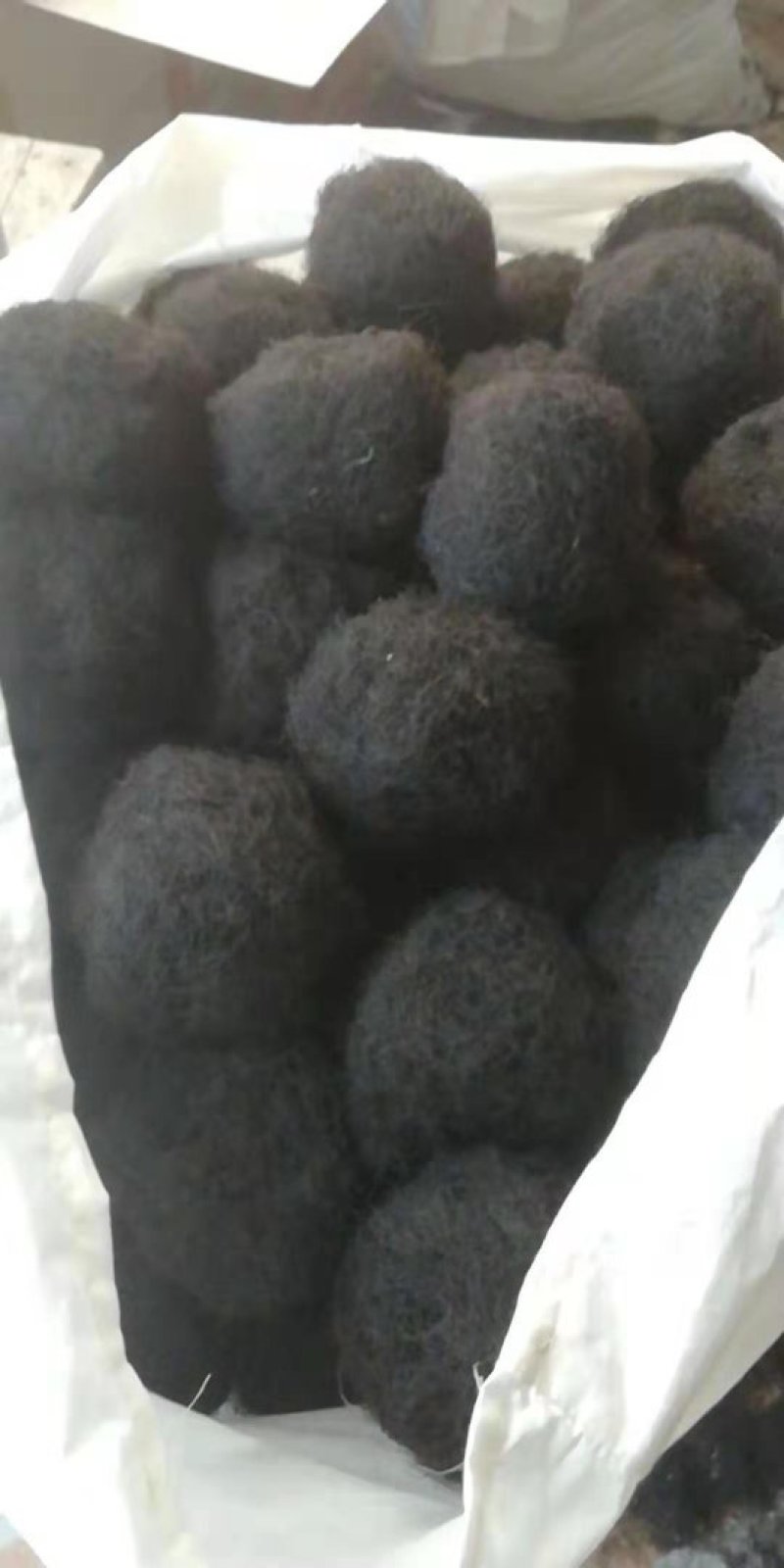 批发各种等级发菜（巨鲸水产出品）