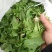 新鲜荠菜先拍后挖4斤装包邮不鲜包赔小孩子都爱吃的青菜