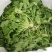 新鲜荠菜先拍后挖4斤装包邮不鲜包赔小孩子都爱吃的青菜