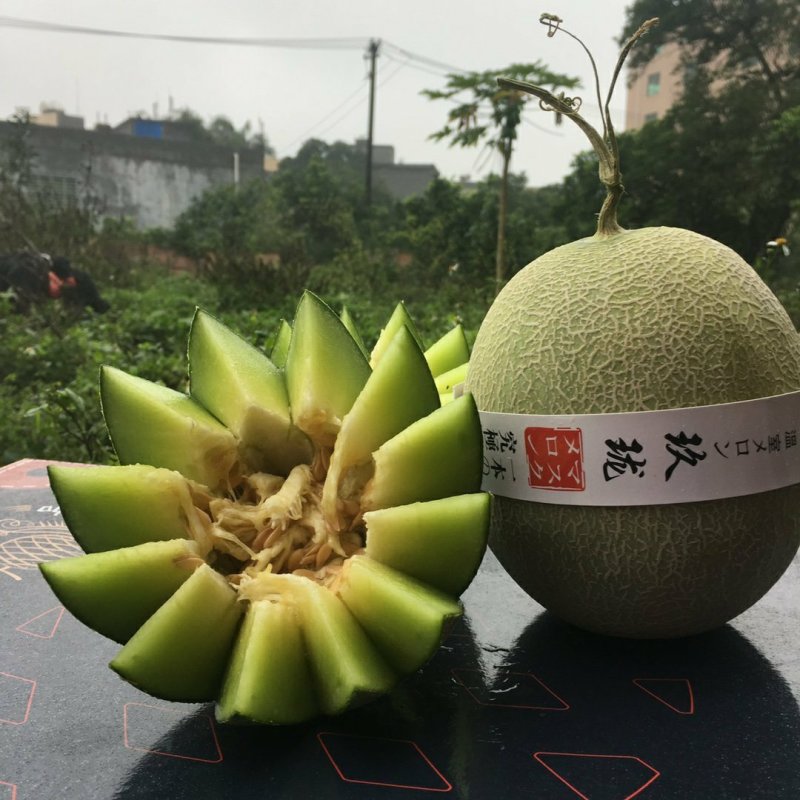 【包邮一件代发】日本引进品种海南玫珑蜜瓜进口冰淇淋之称