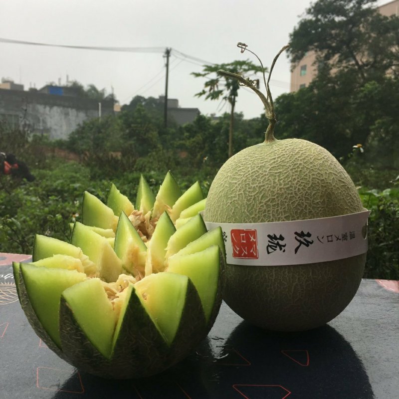 【包邮一件代发】日本引进品种海南玫珑蜜瓜进口冰淇淋之称