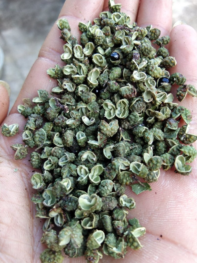 0差评麻椒青花椒主厨之选川菜必备包邮