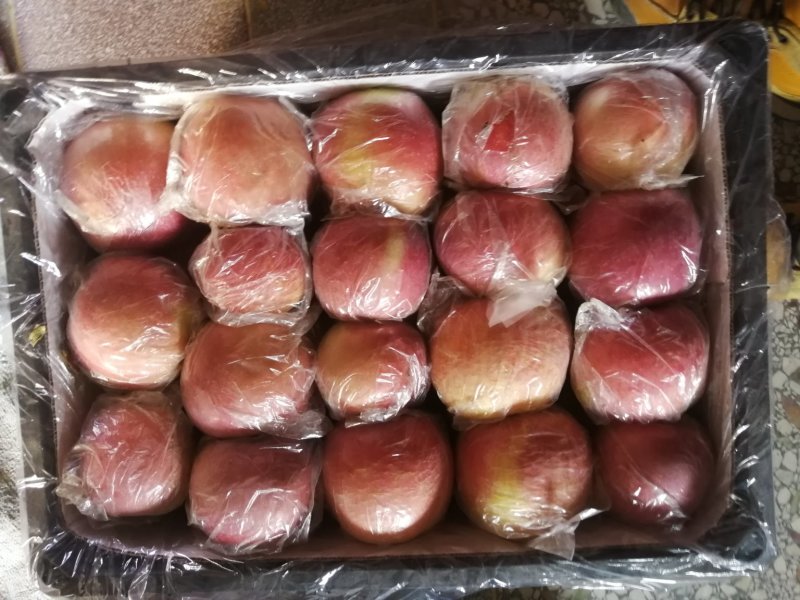 陕西精品膜袋红富士大量上市，产地直供，大量热销！