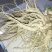 新鲜当归现挖量大量大从优，每天现货，需要联系