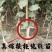 新品种恐龙蛋李子苗包成活现挖现发嫁接苗包技术