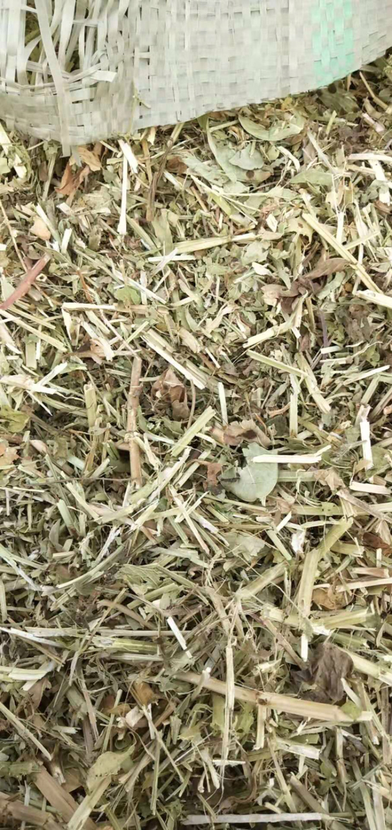 优质绿色羊草、牛草。
