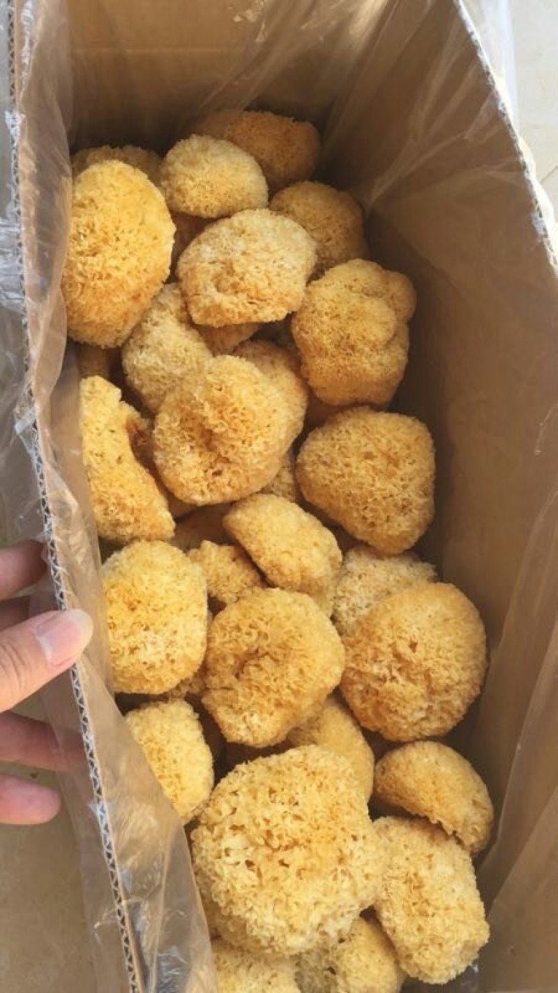 c级丑耳，无硫无添加剂糯耳，一手货源，厂家直接发货