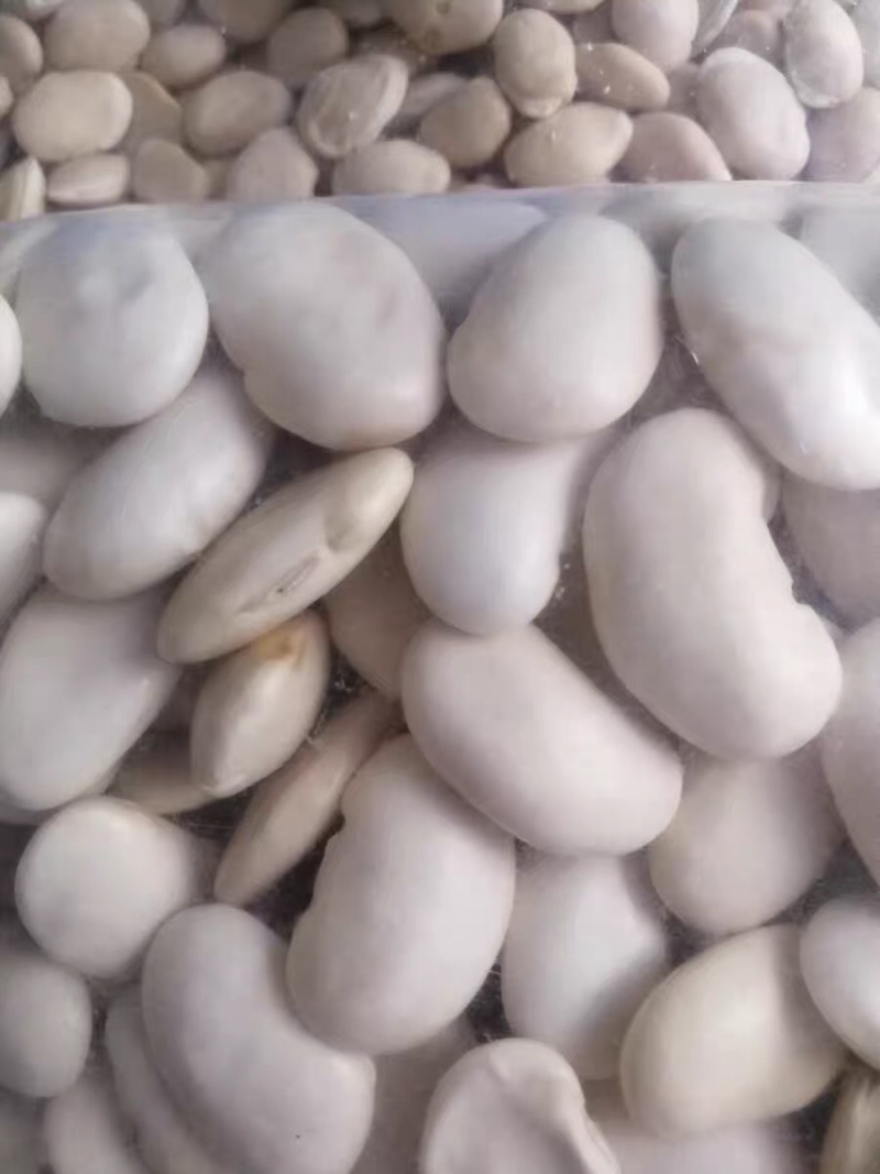 🍓🥖白芸豆大白芸豆粗粮任意搭配十斤4元邮