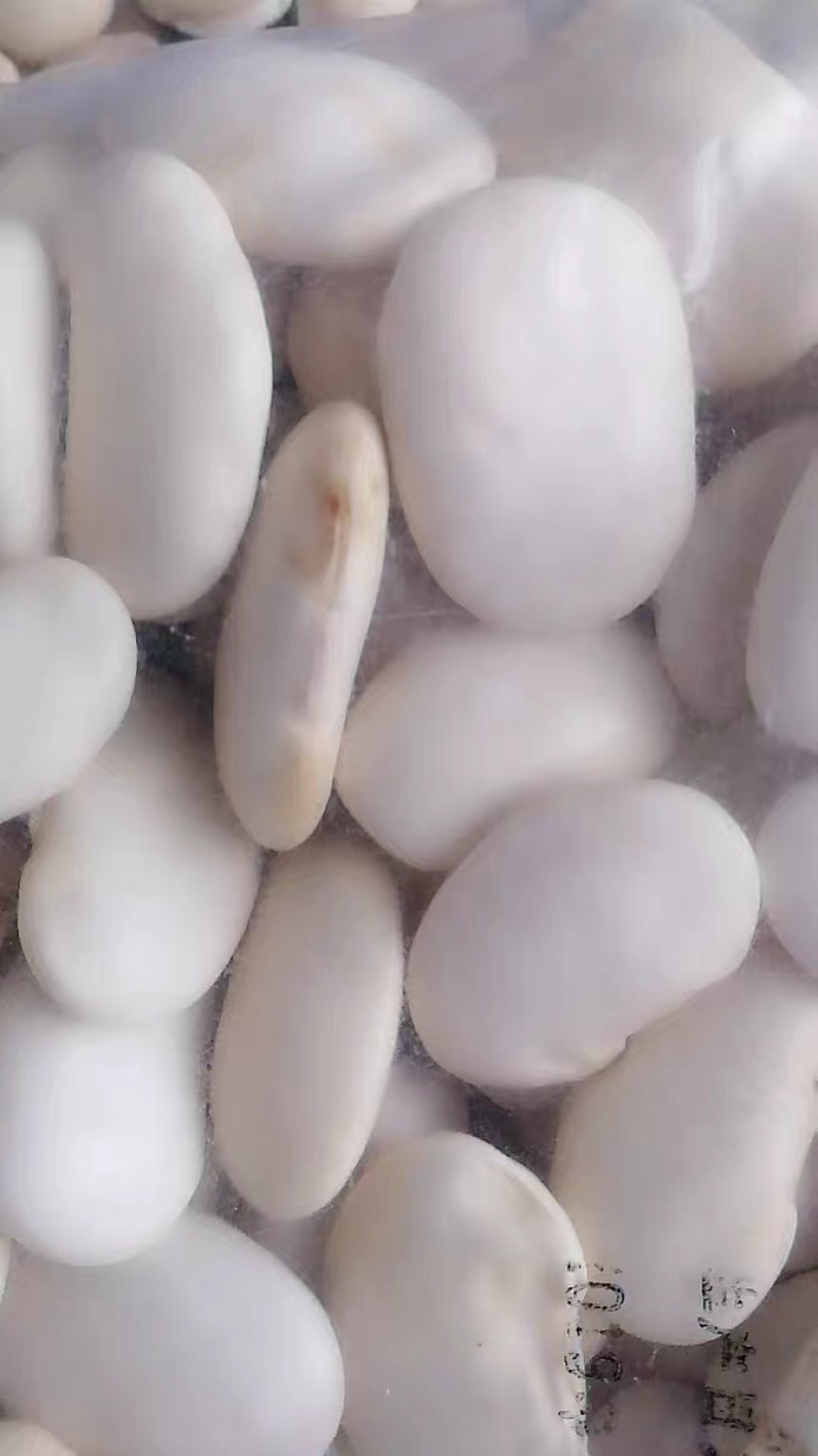 🍓🥖白芸豆大白芸豆粗粮任意搭配十斤4元邮