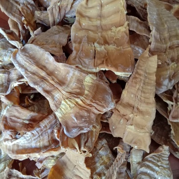 笋尖，笋干，英德麻竹笋干，一级笋干
