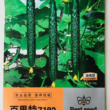 百思特7182油亮型黄瓜种子