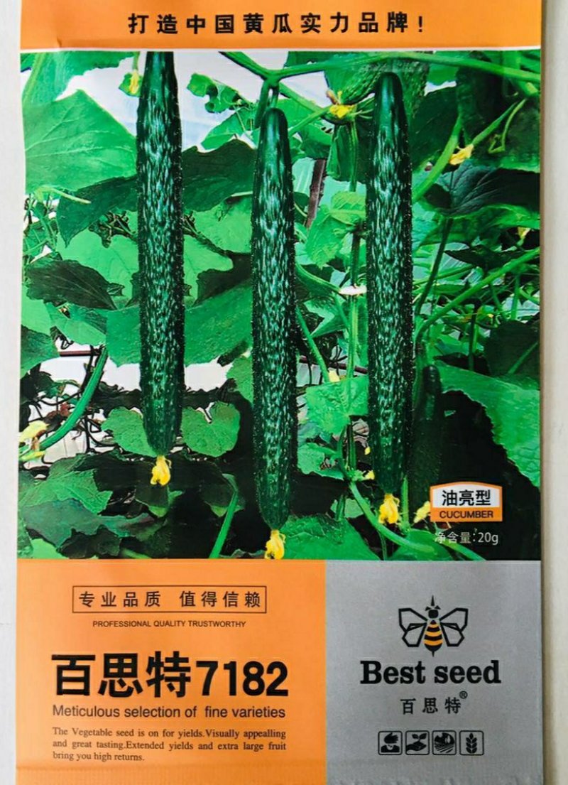 百思特7182油亮型黄瓜种子