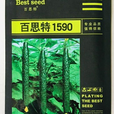 百思特1590黄瓜种子