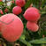 中华寿桃桃树苗晚熟冬桃个大高产耐储存包品种