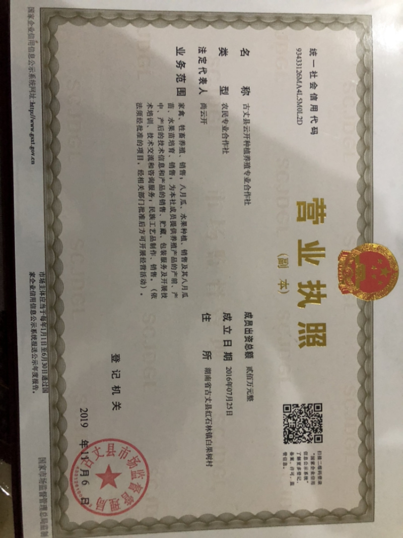 八月瓜苗新品种，进来看看