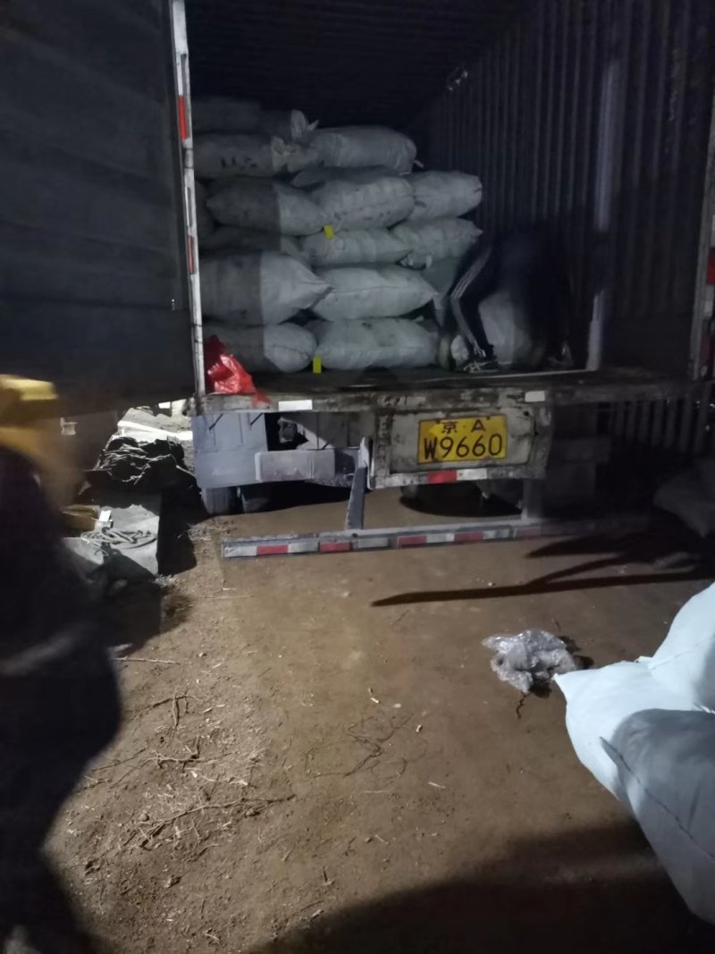 甜蜜蓝宝石葡萄苗嫁接苗品种纯正包成活率免费指导技术