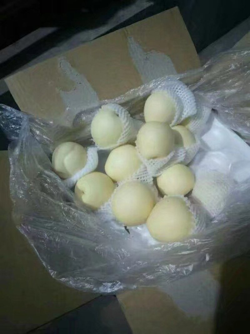 河北省辛集市冷库皇冠梨大量出库，质量好，价格合理！