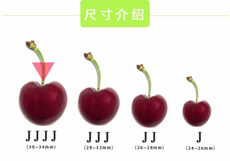 【聚便宜】智利车厘子进口新鲜水果黑珍珠大樱桃顺丰包邮
