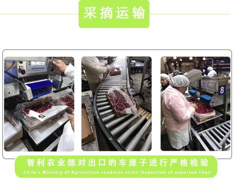【聚便宜】智利车厘子进口新鲜水果黑珍珠大樱桃顺丰包邮
