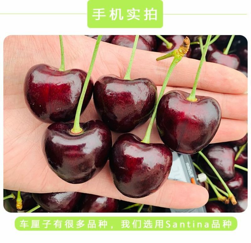 【聚便宜】智利车厘子进口新鲜水果黑珍珠大樱桃顺丰包邮