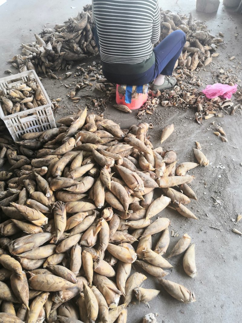 郭氏笋业，专业做冬笋