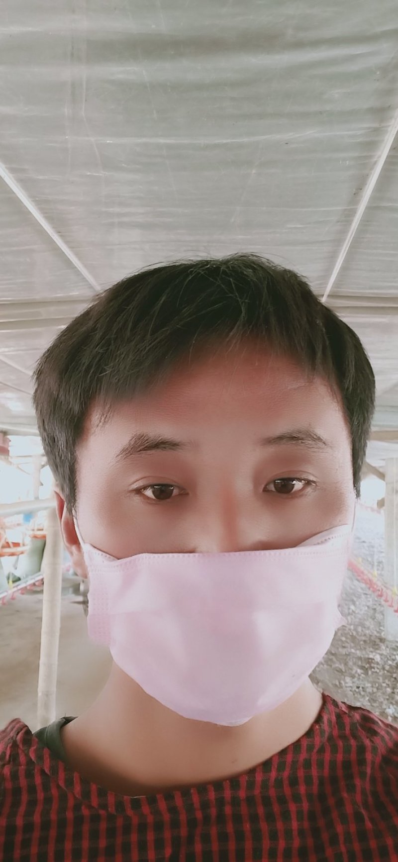 稻壳鸡粪，大量供应，提供物流配送欢迎种植大户联