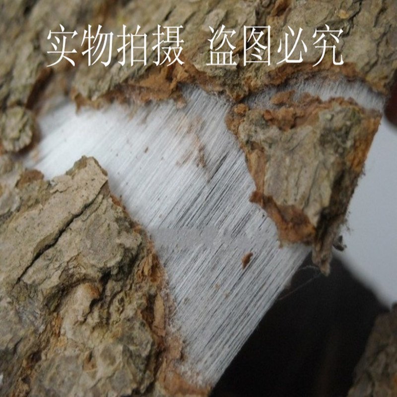 15年杜仲皮杜仲茶略阳杜仲老树厚皮野生老树杜仲皮