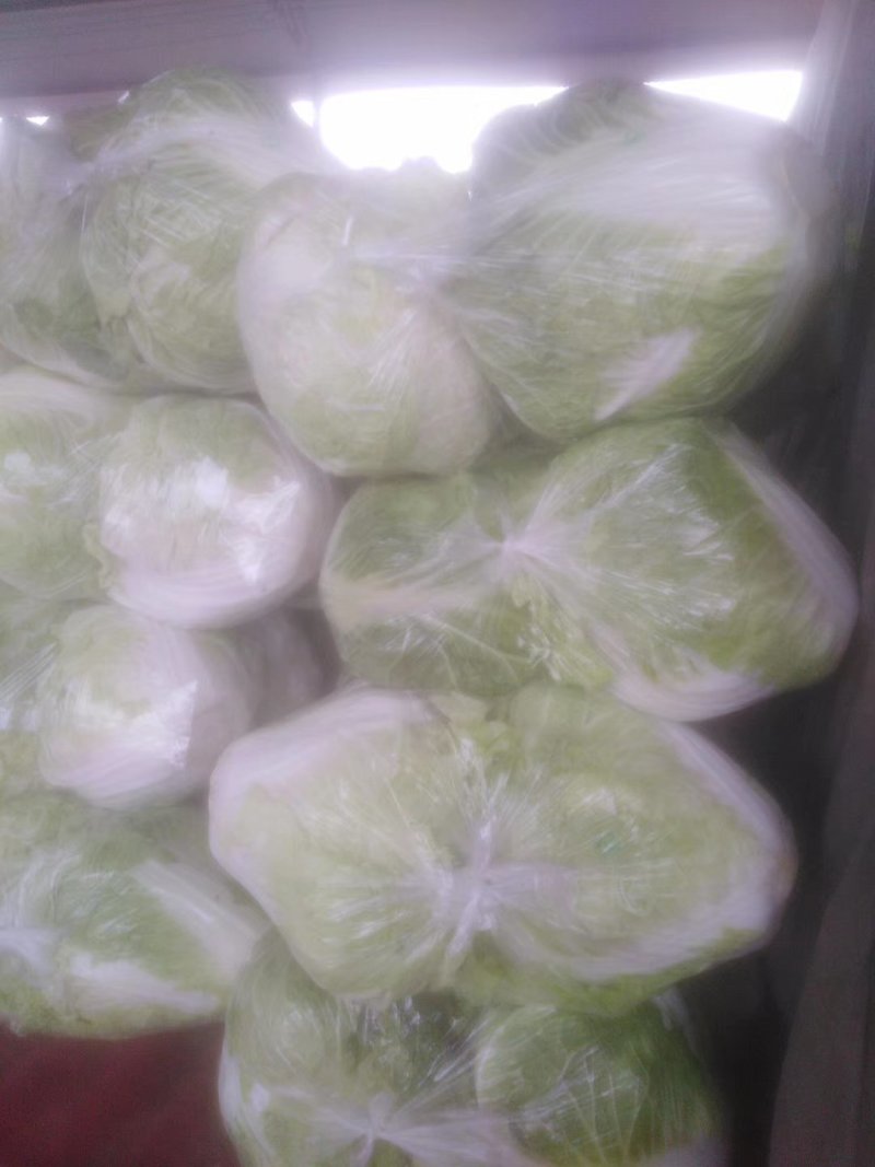 白菜各种基地大量上市供应中，基地种植面积大。
